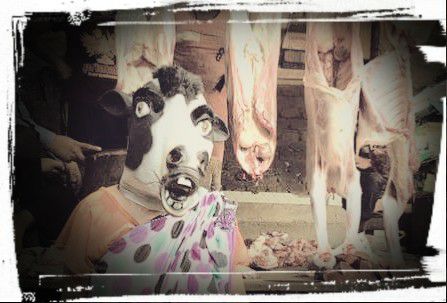 Mad Cow