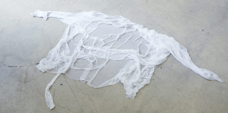 Anna-Sophie Berger, She Vanished I, 2015, silk thread water