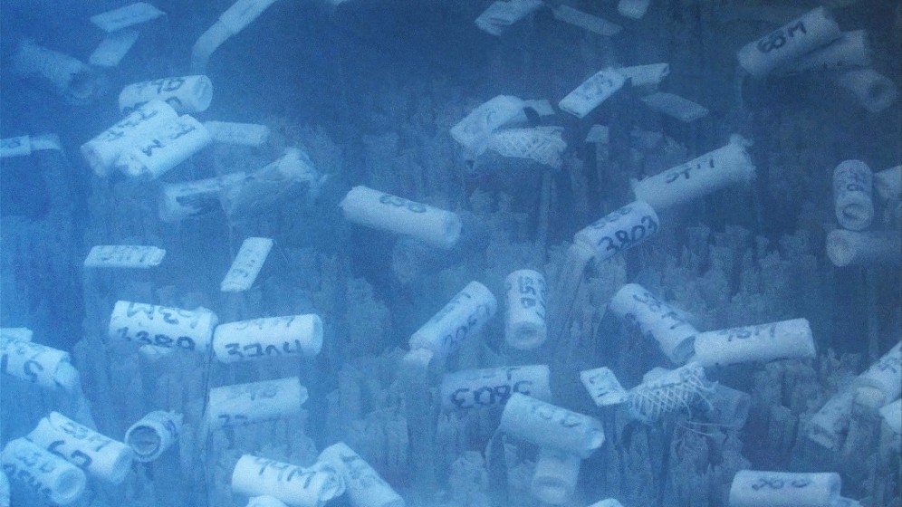 Nedfrusna spermier, ur Gifted Men av Timo Menke och Nils Agdler