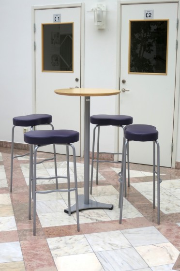 Johanna Karlin, Unobstructed lines of vision, 2014, foto: konstnären