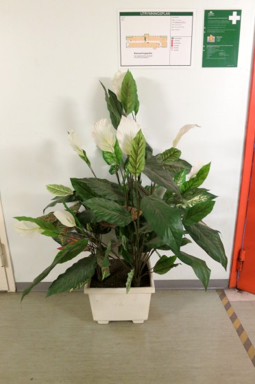 Johanna Karlin, Unobstructed lines of vision, 2014, foto: konstnären