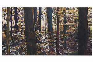 The Coloured Forest in Maine, 2014, Erla S. Haraldsdóttir