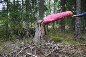 Pang - i skogen