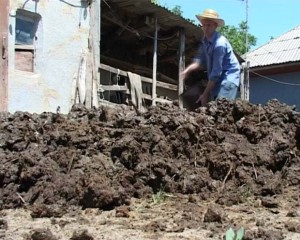 Ghenadie Popescu: Back to enthusiasm, video, 2010, 12:30 min. Courtesy: Ghenadie Popescu.
