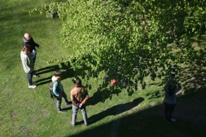 Heath Bunting, Tree Climbing