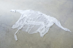 Anna-Sophie Berger, She Vanished I, 2015, silk thread water
