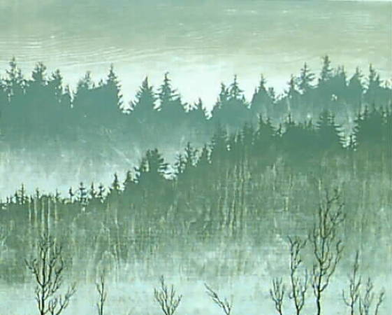 Torbjörn Zetterholm, Granskog, träsnitt 1968