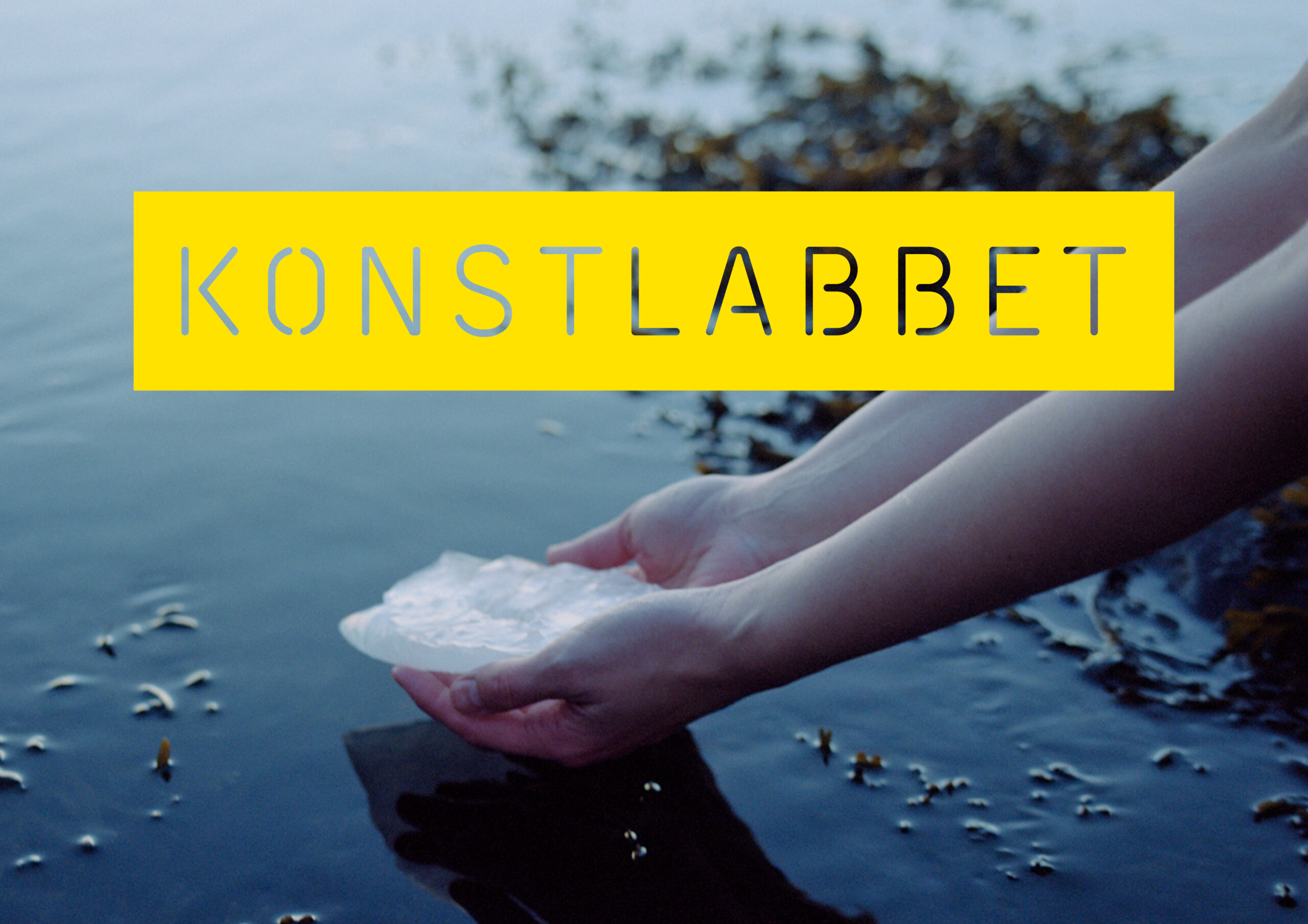 Ett barns händer sänker ner en isbit i havet
