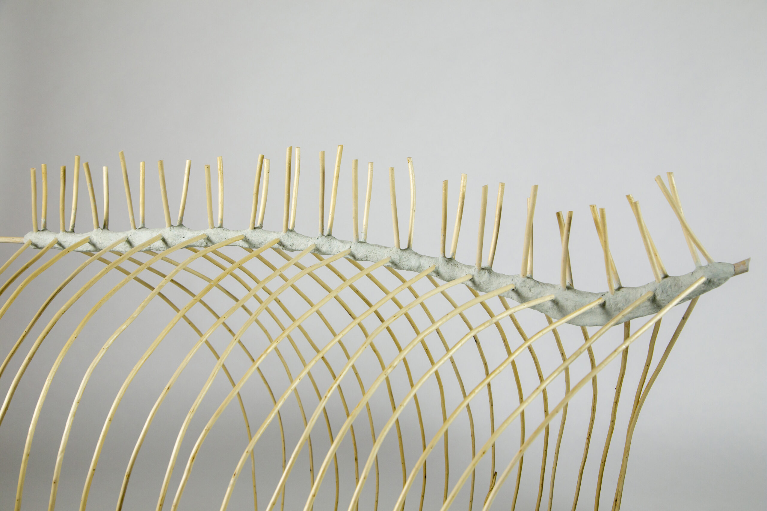 En av Susanna Jablonskis skulpturer som påminner om en hästs bröstkorg