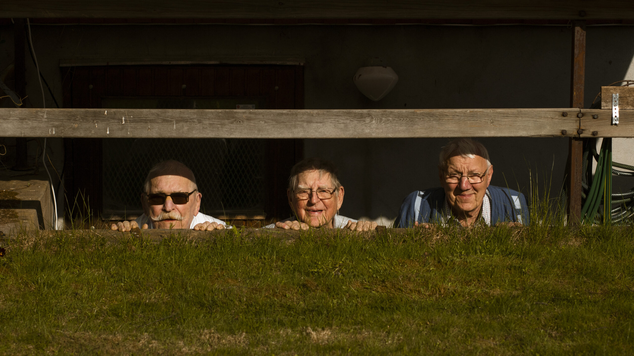 Tre äldre män kikar fram över en gräskant